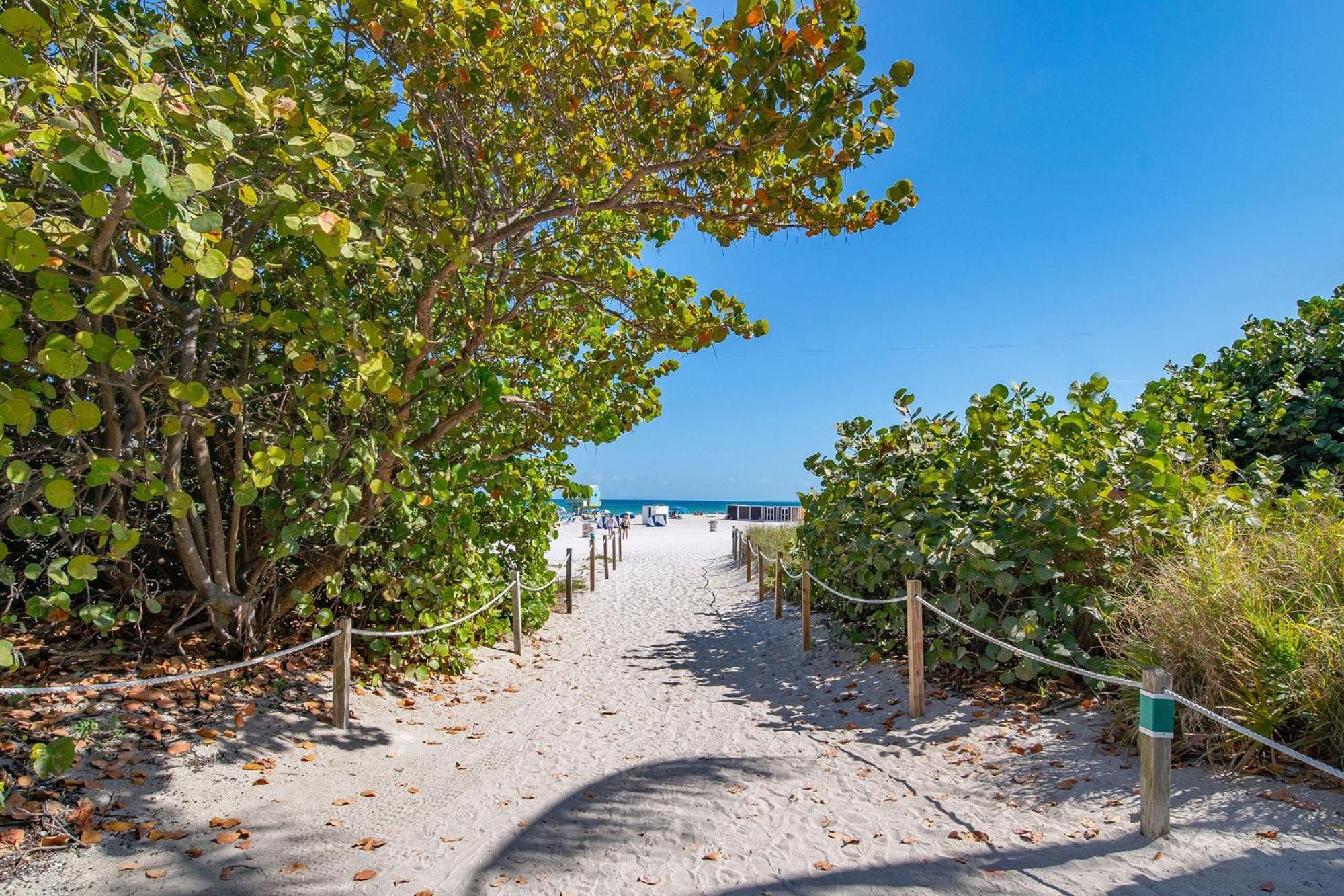 Chic Large Studio Apt Near Ocean Drive South Beach Miami Beach Dış mekan fotoğraf